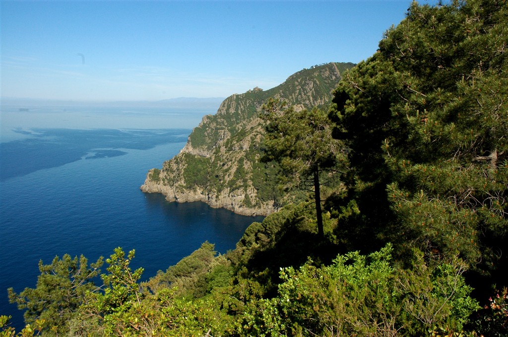 Hiking in the portofino park