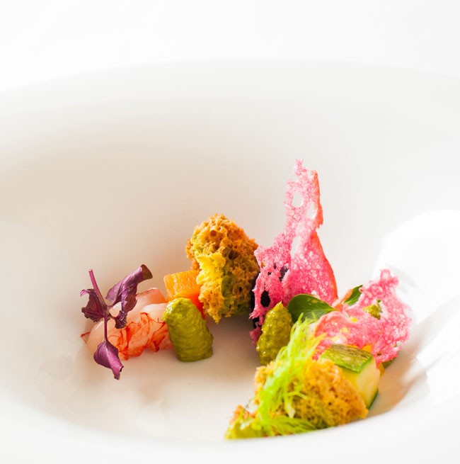 Elegant serving of a first course of vegetables