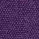 Cotone 20-Viola