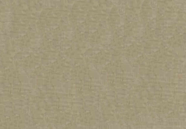  Texture du tissu Velours Biocotton