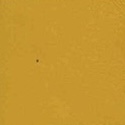 Kayak Ida Leather