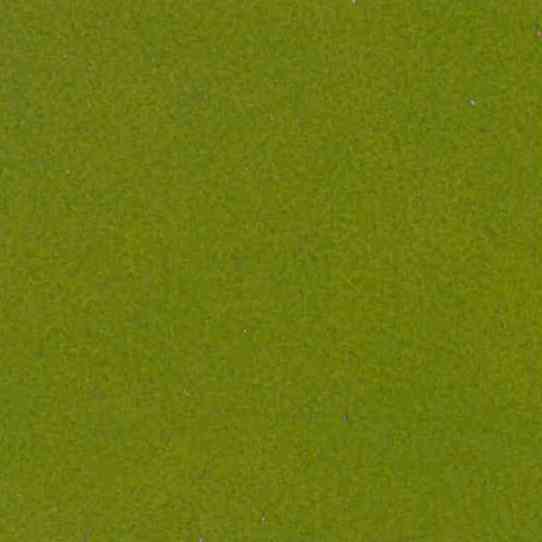 Pelle Organic Evergreen